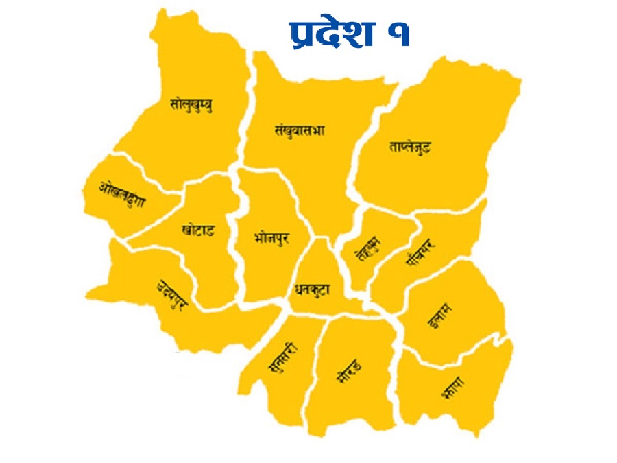 १० वर्षमै डिजिटल प्रदेश 