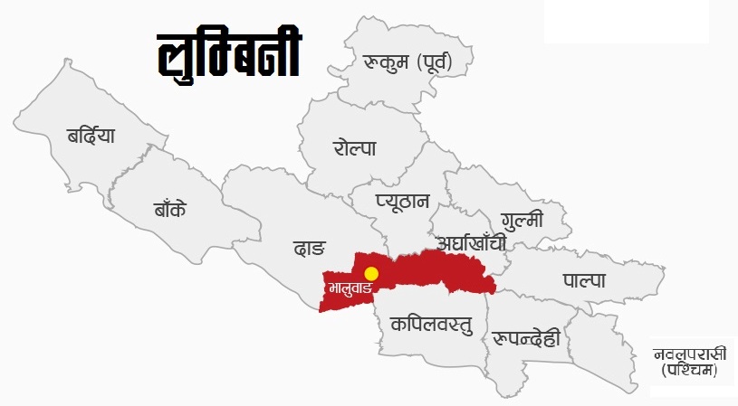 राजधानी तोकिएपछि भालुवाङमा उत्सव