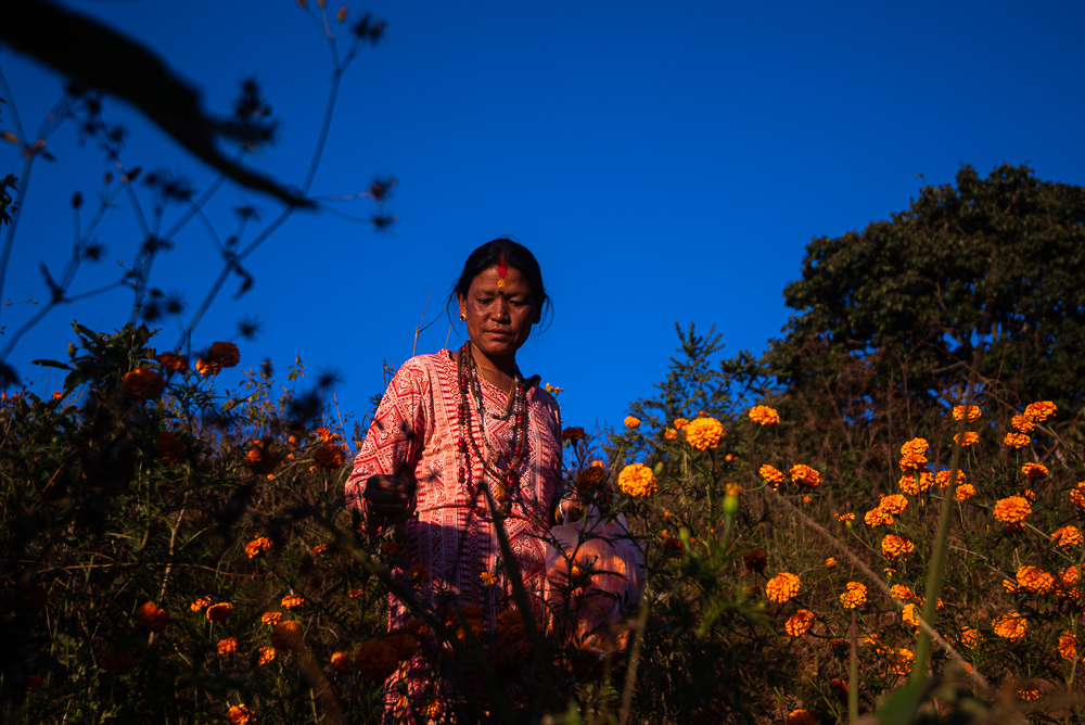 तिहार प्रतीक्षा (फोटो फिचर)