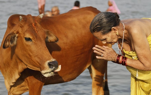 यमपञ्चकको तेस्रो दिन : गाई तिहार र म्ह पूजा