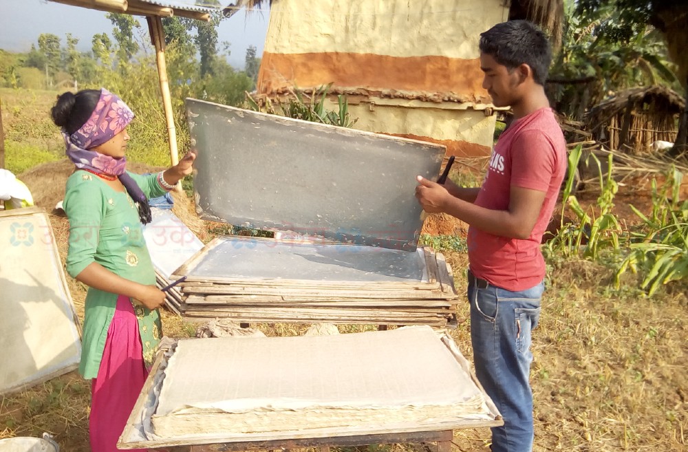 युवा उद्यमीको गुनासो ‘ऋण गरेर व्यवसाय गरियो, उत्पादन बिक्दैन, अनुदान पनि छैन’