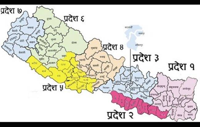 प्रदेशमा जनशक्तिकै अभाव : बाढी, पहिरो, डुबान र कोभिड व्यवस्थापनमा कुन प्रदेशको के योजना?