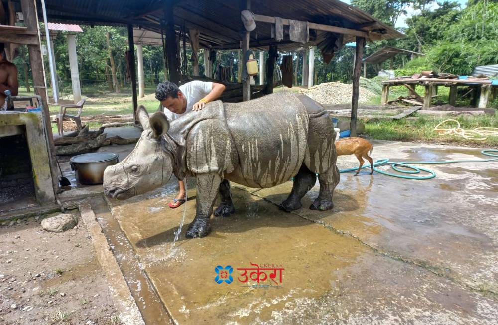 आमाले त्यागेकी पुष्पा र अञ्जली हुर्काउँदै छन् लालबहादुर