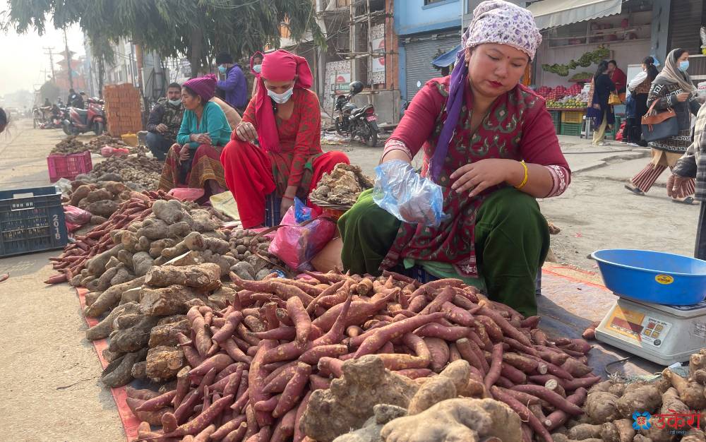 माघे सङ्क्रान्ति पर्वमा तरुल र सख्खरको व्यापार (फोटो फिचर)