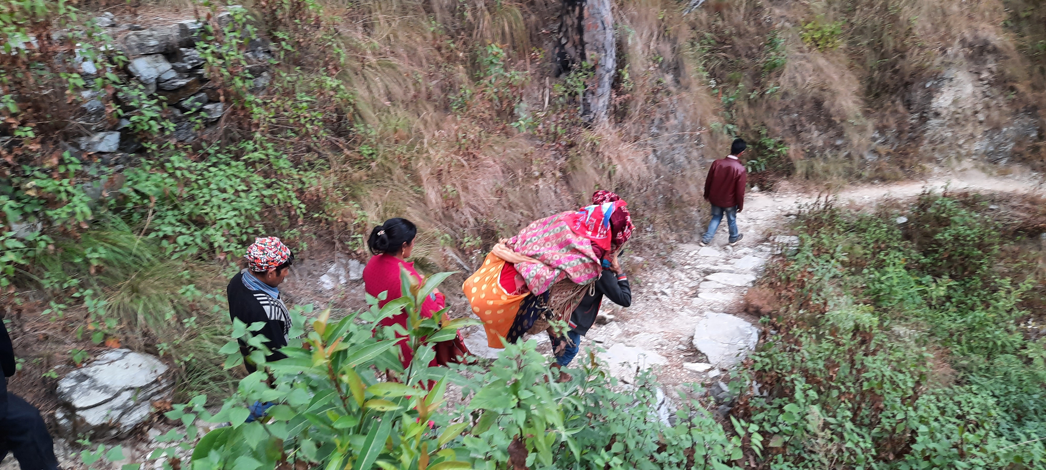 गुल्मी पाटाखर्कको दुख : डोकोमा बोकेर अस्पताल, दुई घण्टा पैदल हिँड्नु पर्ने बाध्यता 