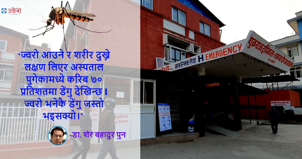 टेकु अस्पतालको ७० प्रतिशत बेड डेंगु सङ्क्रमितले भरिए, ललितपुर सबैभन्दा बढी जोखिममा